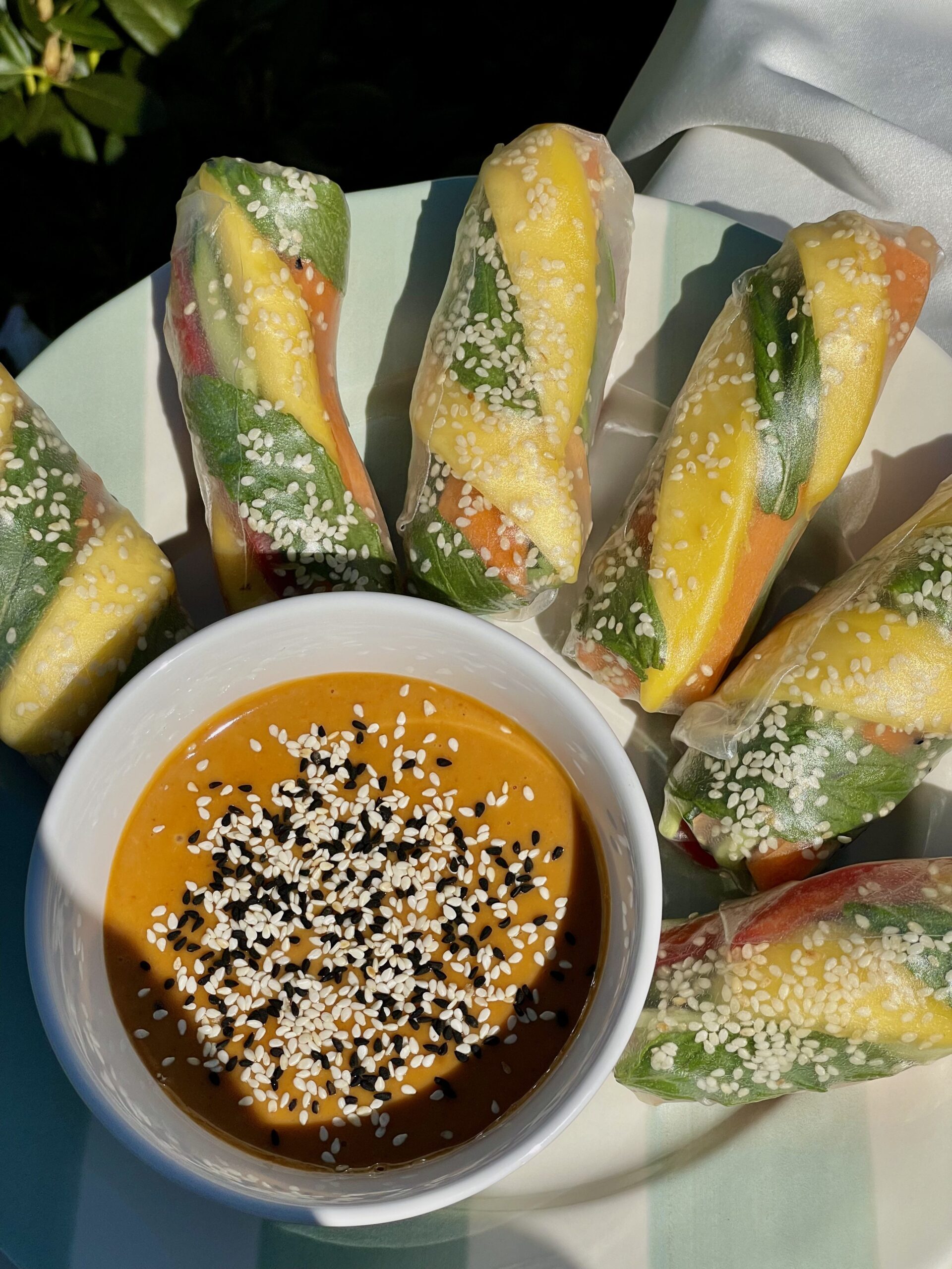 Spring rolls with peanut sauce